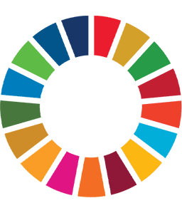 SDG Wheel